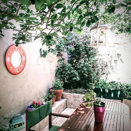 Bed and Breakfast La Collina Dei Ciliegi Sarule Exterior foto
