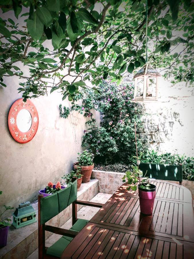 Bed and Breakfast La Collina Dei Ciliegi Sarule Exterior foto