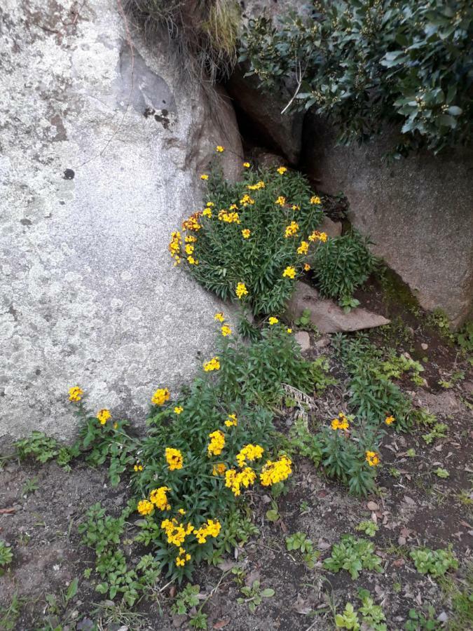 Bed and Breakfast La Collina Dei Ciliegi Sarule Exterior foto