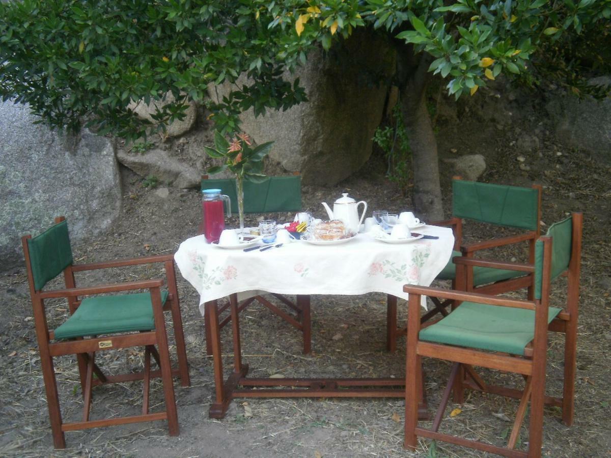 Bed and Breakfast La Collina Dei Ciliegi Sarule Exterior foto