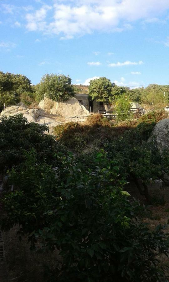 Bed and Breakfast La Collina Dei Ciliegi Sarule Exterior foto