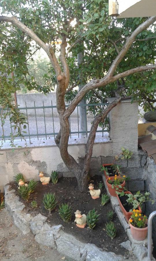 Bed and Breakfast La Collina Dei Ciliegi Sarule Exterior foto